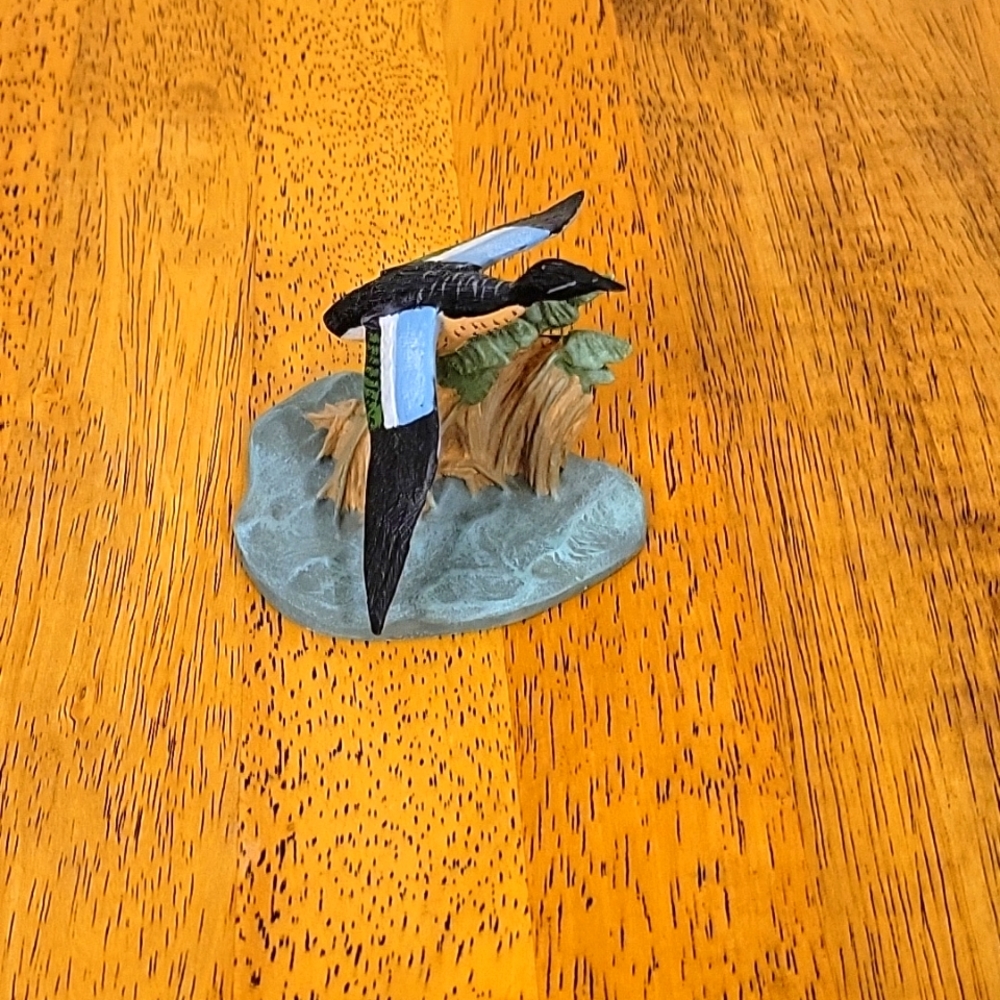 Avon duck